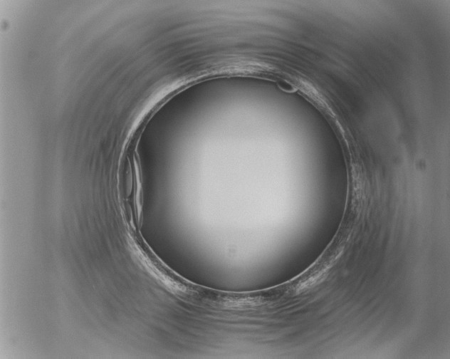 X0000053090843200508012030