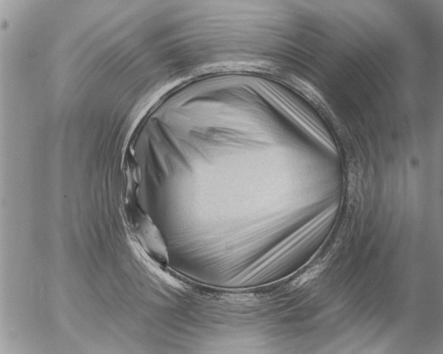 X0000053090844200508012030