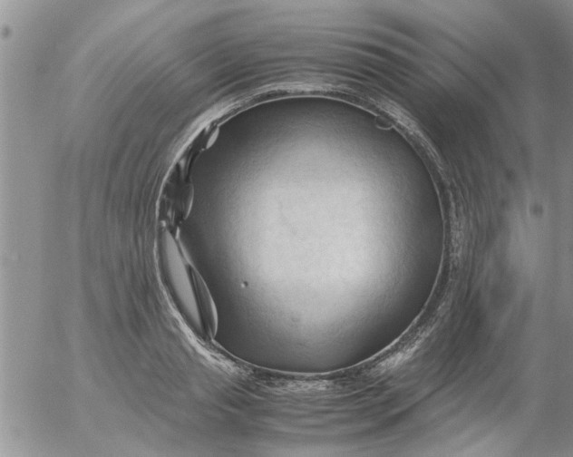 X0000053090845200508012030