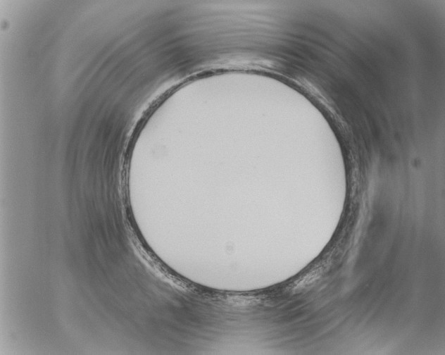 X0000053090848200508012030