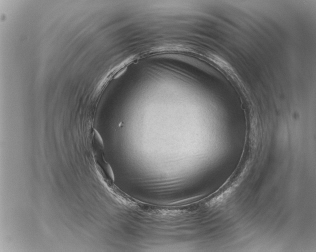 X0000053090849200508012030