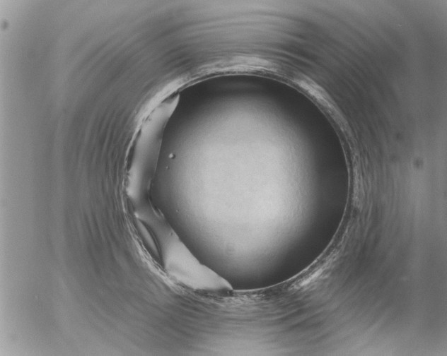 X0000053090850200508012030