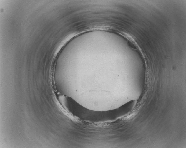 X0000053090851200508012030