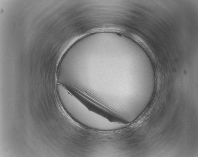 X0000053090852200508012030