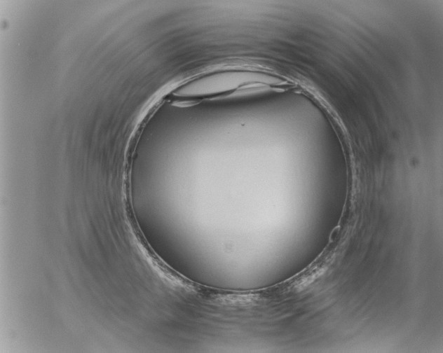 X0000053090853200508012030