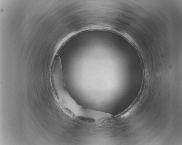 X0000053090854200508012030