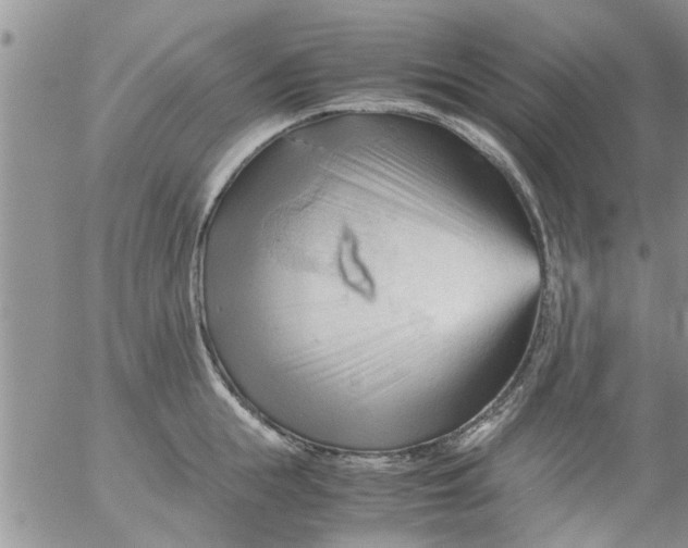 X0000053090855200508012030