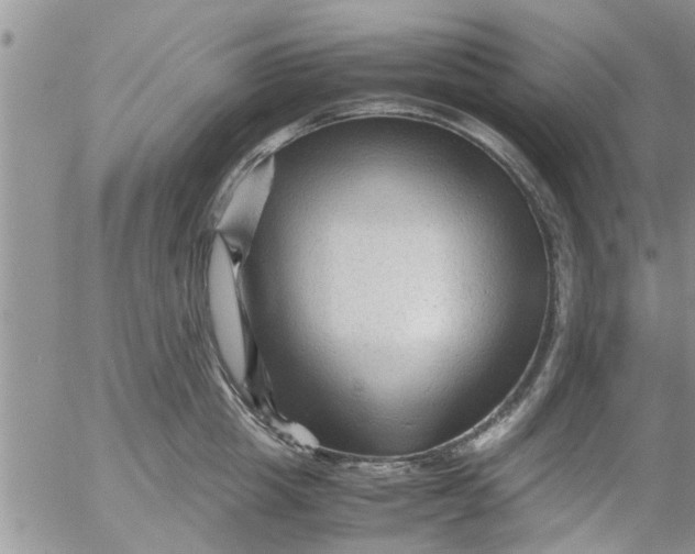 X0000053090857200508012030