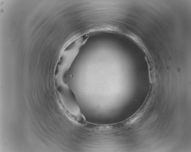 X0000053090858200508012030