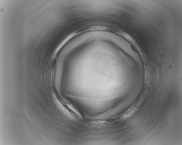 X0000053090859200508012031