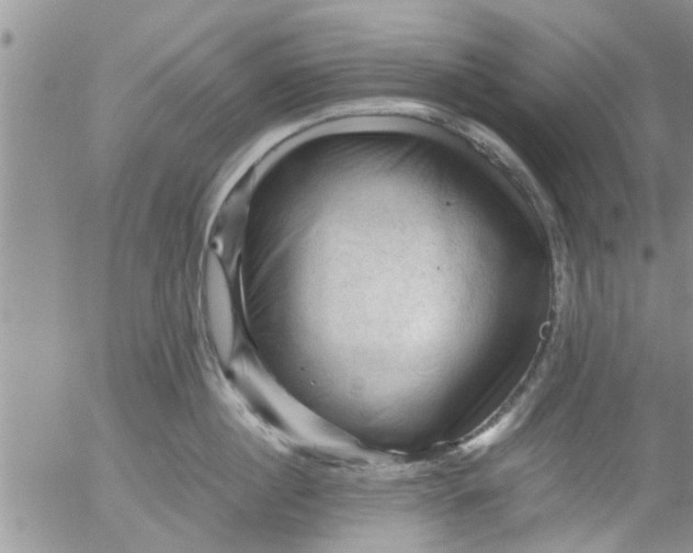 X0000053090860200508012031