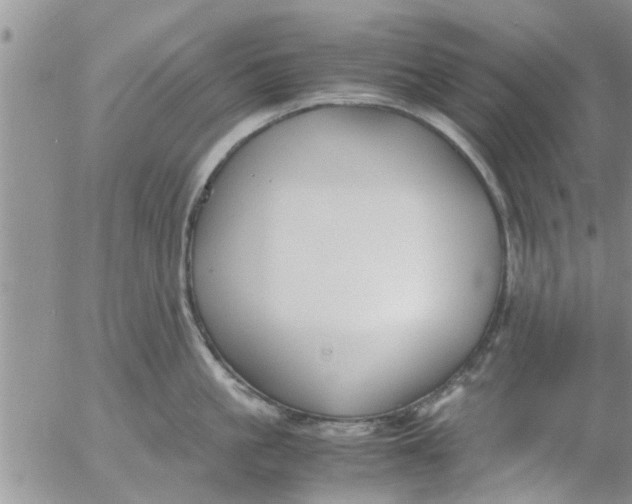 X0000053090861200508012031