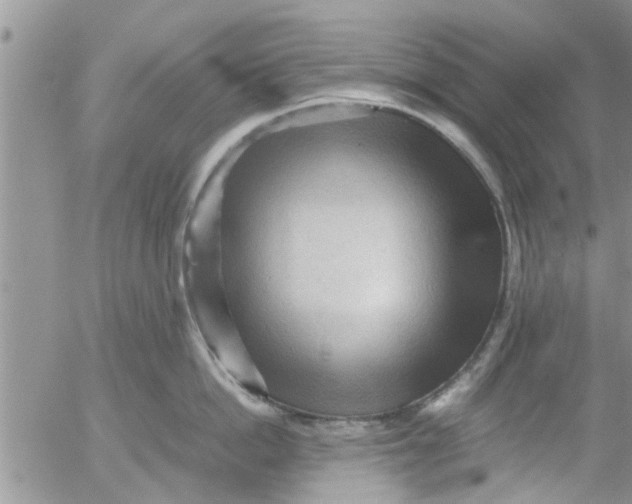 X0000053090862200508012031