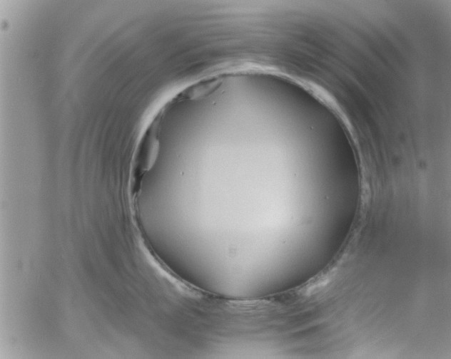 X0000053090863200508012031