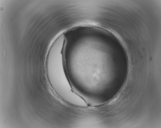 X0000053090864200508012031