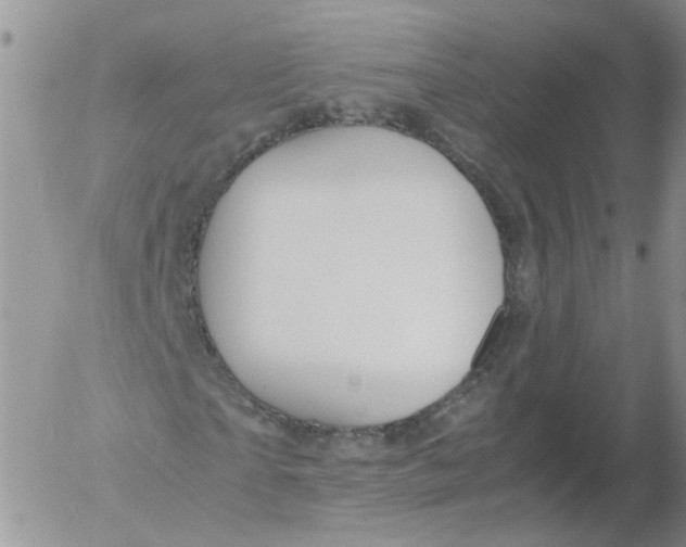 X0000053090865200508012030