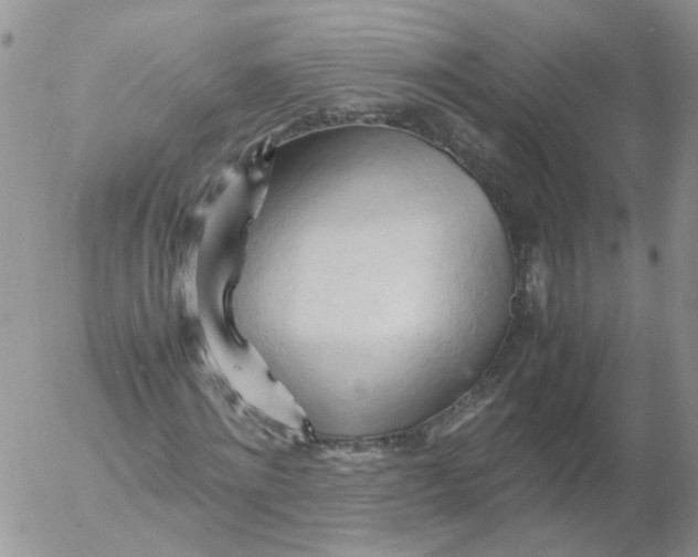 X0000053090868200508012030