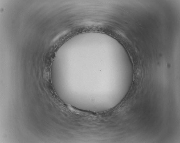 X0000053090869200508012030