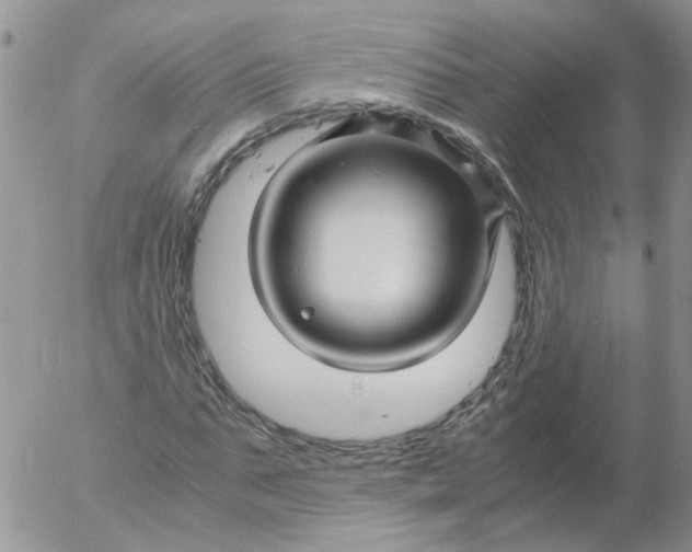 X0000053090871200508012030