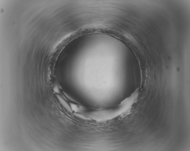 X0000053090872200508012030