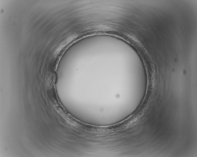 X0000053090873200508012030