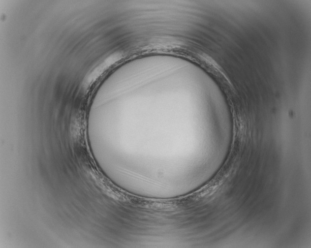 X0000053090874200508012030