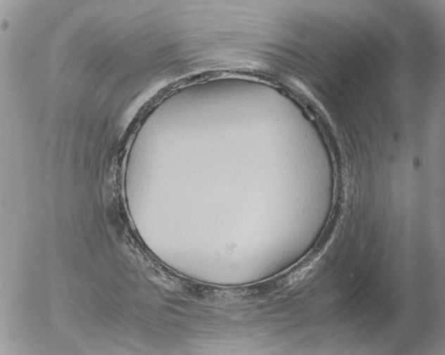 X0000053090875200508012030