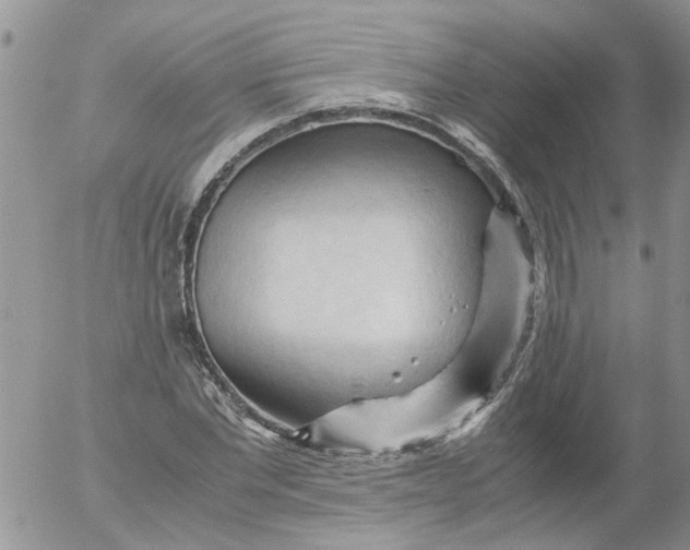 X0000053090877200508012030