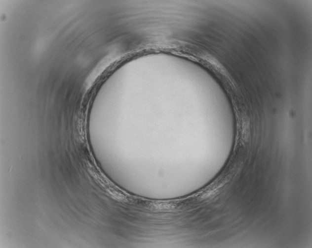 X0000053090878200508012030