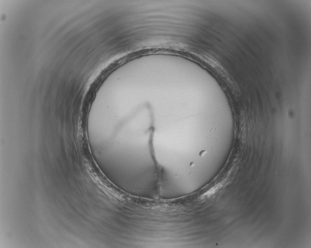 X0000053090880200508012030