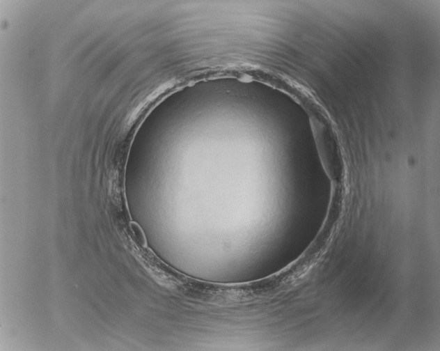 X0000053090881200508012029