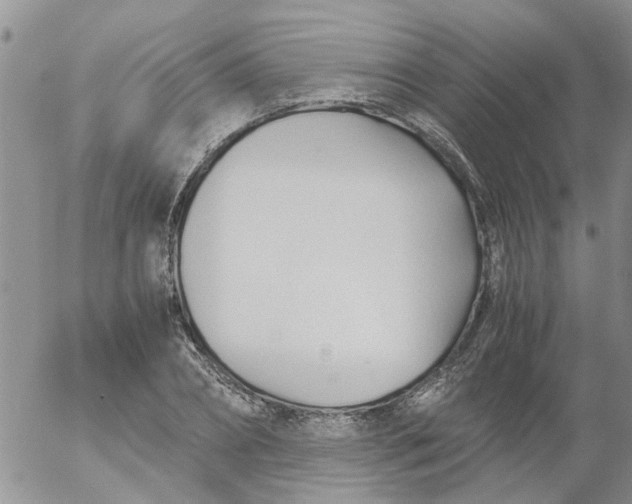 X0000053090882200508012029