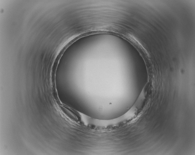 X0000053090884200508012029