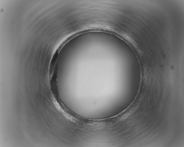 X0000053090888200508012029