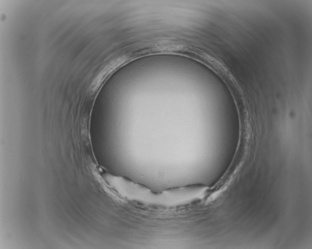 X0000053090889200508012029