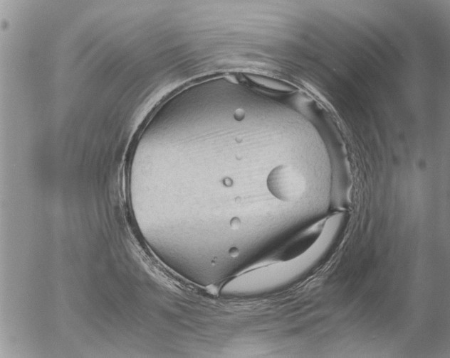 X0000053090891200508012029