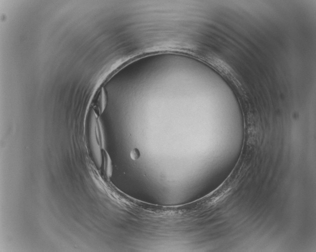 X0000053090892200508012029