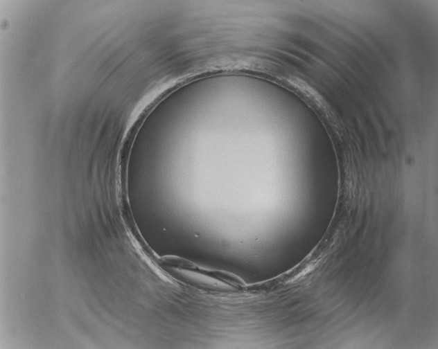 X0000053090894200508012029