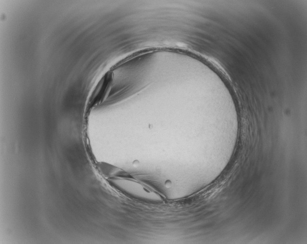 X0000053090895200508012029