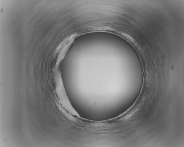 X0000053090897200508012029