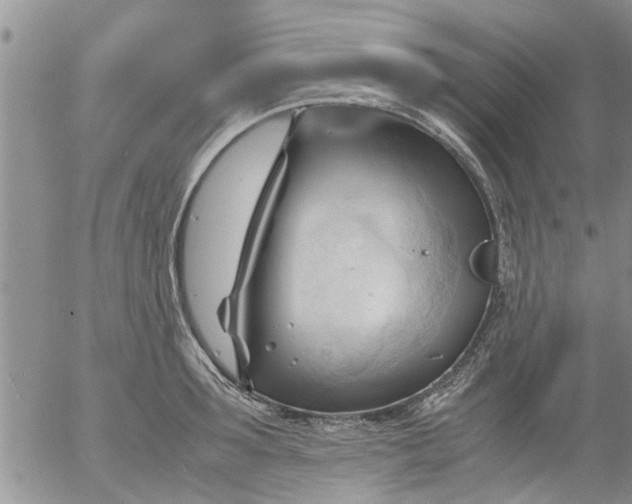 X0000053090899200508012029