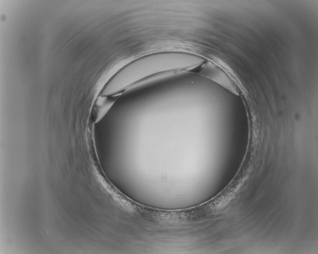 X0000053090901200508012029