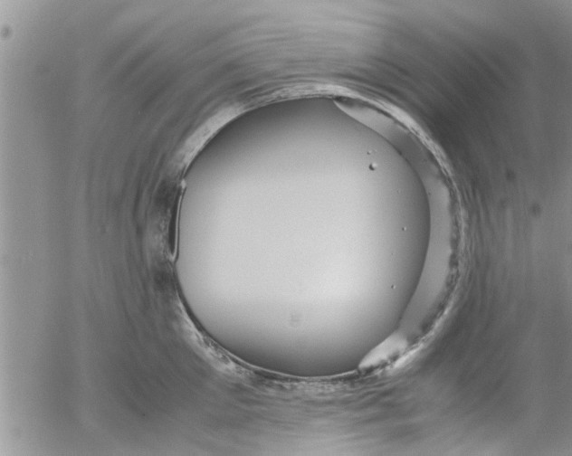 X0000053090905200508012029