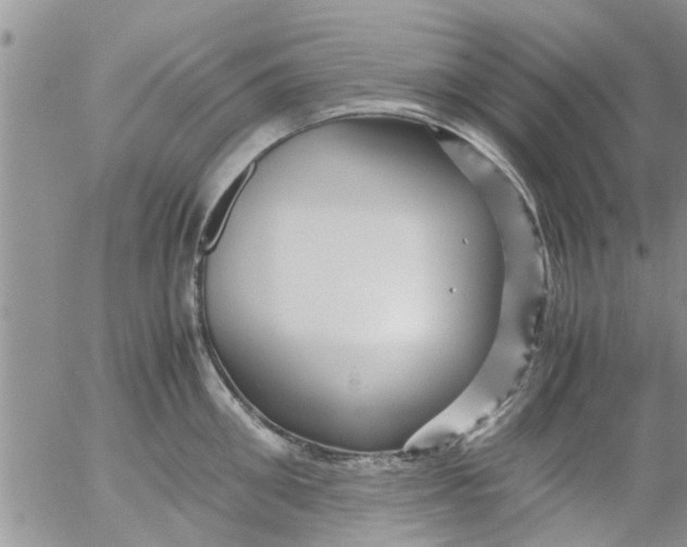 X0000053090906200508012029