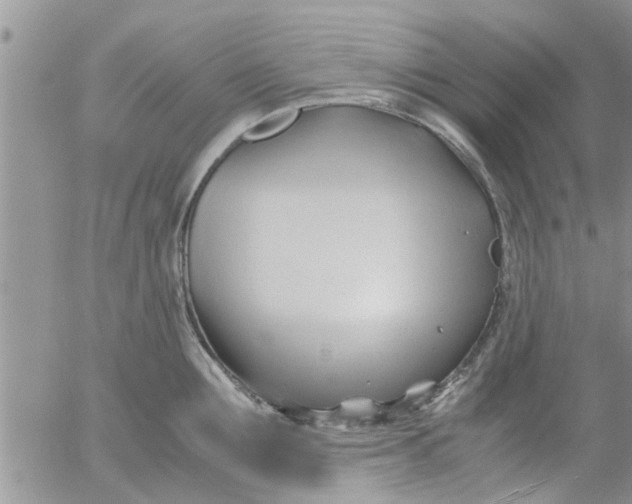 X0000053090907200508012029