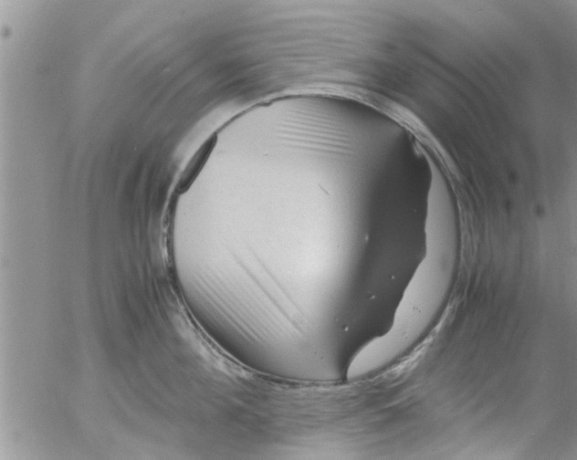 X0000053090908200508012029