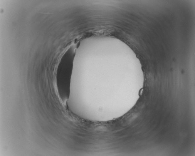 X0000053090913200508012028