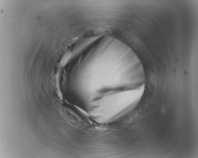 X0000053090914200508012028