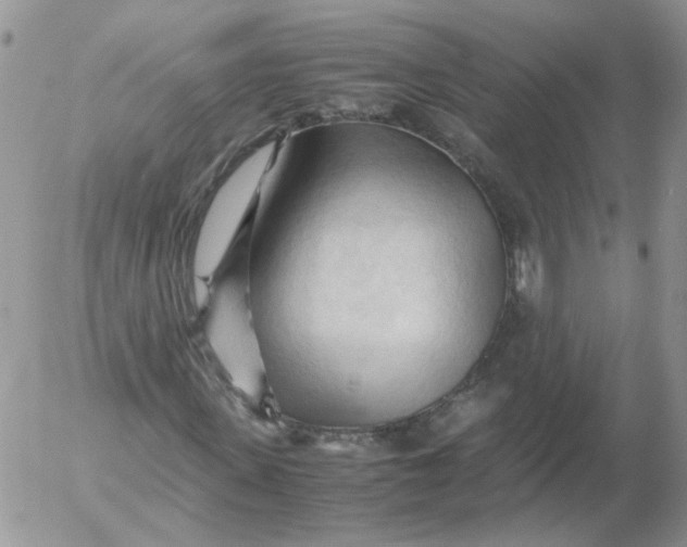 X0000053090915200508012028