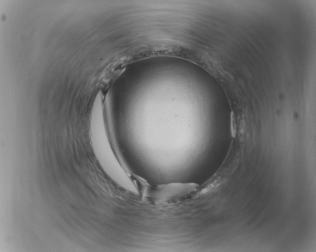 X0000053090916200508012028